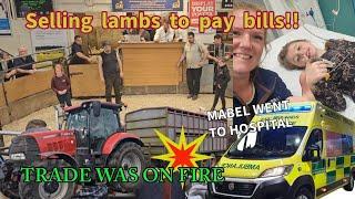 Trade was on FIRE at Bentham auction!Now BILLS topay!Trip in an ambulance @benthamauctionmart6088