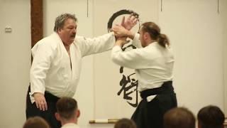 Aikido seminar march 2019 in Russia - Urban's blues on air!!!