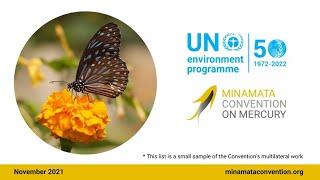 The Future We Want: The Minamata Convention Timeline