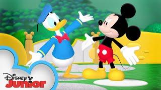 It's Donald Duck's Birthday!  | Mickey Mouse Clubhouse | @disneyjr