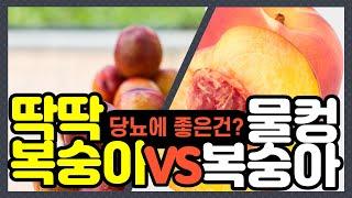 당뇨 혈당관리! 물컹 복숭아 VS 딱딱 복숭아! 혈당에 더 좋은 과일은?