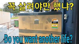 Whirpool WRID41TS fan motor repair and replace door, 월풀 냉장고 펜모터 수리와 도어 교체 작업