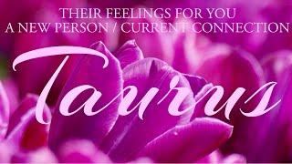 TAURUS tarot love ️ There Is Someone Who Has True Love For You Taurus But …