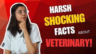 Harsh Truths about Veterinary | Vet Visit