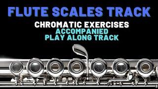 Chromatic Exercises for Flute Practice Track