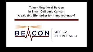 Tumor Mutational Burden in SCLC: A Valuable Immunotherapy Biomarker? (BMIC-011)