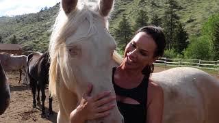 Cowboy Channel's "Debbe Dunning's Dude Ranch Round Up" Sunday 8:00 PM Eastern