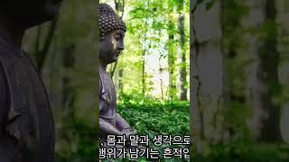 “왜 나만 이렇게 괴로운 걸까?” 업보와 괴로움에 대한 불교의 대답 #부처님말씀 #불교철학 #인생조언 #카르마 #karma #buddha #buddhism #불교교리 #업보