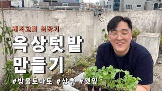 [개척교회성장기] 옥상텃밭 만들기 #바울토마토 #상추 #깻잎