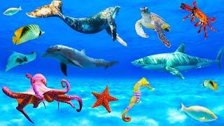 Звуки и Названия Морских Животных | Learn Marine Animals