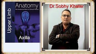 Essentials Of Medical Anatomy:  axilla