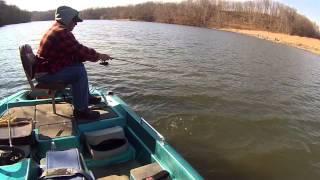 Chasing the Trout Truck
