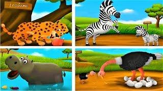 Children Learn animals | Feed the animals | Educational Games