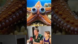 Сколько глаз у Морской Звезды #морская звезда #интересные факты #морские звезды #животные #природа