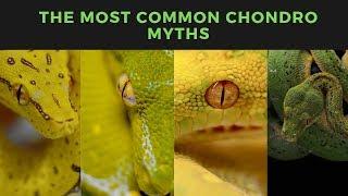 The Most Common Chondro Myths