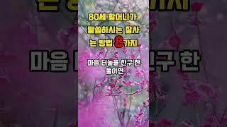 80세 할머니가 잘사는방법 8가지. 인생의지혜 삶의지혜 인생조언 명언 철학 현실조언 위로 중년 노년 중년의삶 노년의삶 인생명언 오디오북#인생명언#