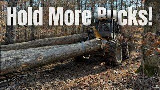 Transforming a property with logging!