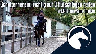 Lektion: Schulterherein | Wie geht's richtig?! | ClipMyHorse.TV Academy|