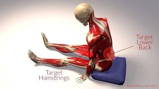 Targeted Stretching: How to Tailor Poses for Effective Muscle Release