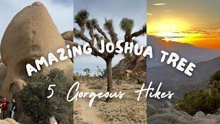 Hiking Joshua Tree: 5 Unforgettable Trails for a Day of Adventure