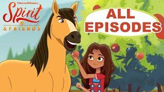 SPIRIT & FRIENDS MARATHON! | All 20 Episodes