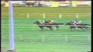 1981 Arlington MIllion John Henry