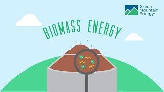 Renewable Energy 101: How Does Biomass Energy Work?