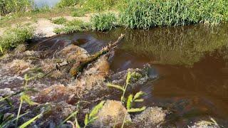 Tak wygląda Narew trzy dni po awarii w Stora Enso