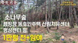 괴산군 임야+전 1만평  캠핑장 숲치유센터 명상센터 동호인주택 등 추천 #괴산군전원주택 #충북괴산임야매매 #괴산토지매매 #괴산텐트촌 #괴산캠핑장 #괴산군야영장