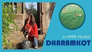 Dharamkot | Hippie Village in Himalayas | Spirituality | Meditation | Mini Israel | Culture