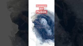 Аквариум Для РЫБЫ #рыбалка #жерлицы #fishing #щука