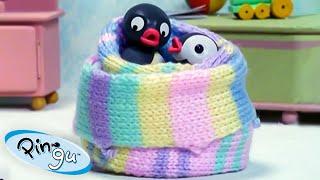 Pingu Gets Creative  | Pingu - Official Channel | Cartoons For Kids