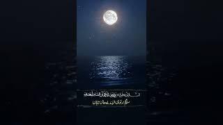 السَّلاَمُ عَلَيْكَ يَا اِبْنَ اَلْأَقْمَارِ اَلسَّاطِعَةِ...