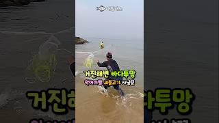 투망유튜버 힐링투망님이 촬영해주신 메탈배스 바다투망,악어이빨을 가진 괴물고기,몬스터피쉬, 고성동해바다 거진항 거진해변자산천 동갈치투망,castnet,fishing,playpesca