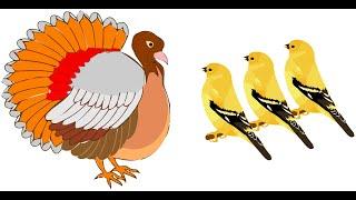  0008M | 4K Motion Graphics | Glass Birds | Music