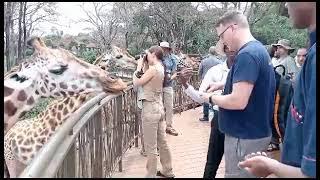 A Day at the Giraffe Centre, Nairobi Kenya