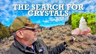 Finding Quartz Crystals: A Rockhounding Wonder Land!