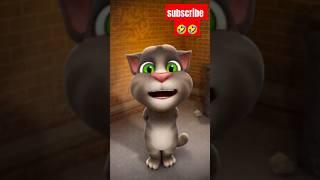 o janu meri...ai funny cat #funny #shortsfeed #jadu #talkingcat#ai#comedy  #aivideo#shorts #ytcat#yt