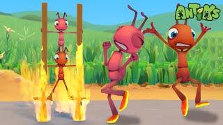 Hotshots| Funny Cartoons For All The Family! | Funny Videos for kids | ANTIKS