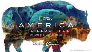 America The Beautiful - Prey