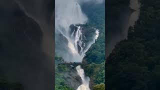 speechless view #শর্ট #shortsvideo #nature #train #travel #fall #goa #traintravel