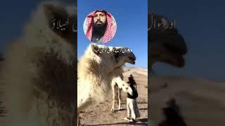 abdullah zafar islamic channel 2025 