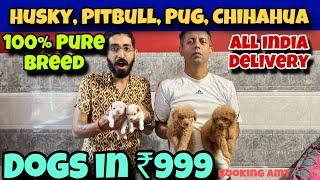 Cheapest Dogs Market In Delhi NCR | German Shepherd, Husky, Pitbull | Dog in 699* | Negi Pet Shop