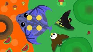 mope.io | King Dragon Hunting Compilation | Toucan & Eagle kills Black Dragon