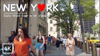 [Daily] New York City, Midtown Manhattan Summer Walk Tour, 5th Avenue, City Walk