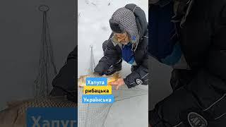 Хапуга рибацька України 0994085676