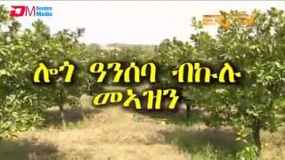 ካብ ዞባታት፡ ሎጎ ዓንሰባ ብኩሉ መኣዝን | Lege Chuwa region from all angles - ERi-TV