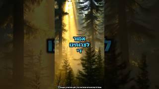 מבטל כל הגזרות: חיים ישראל, ארי היל & freepic