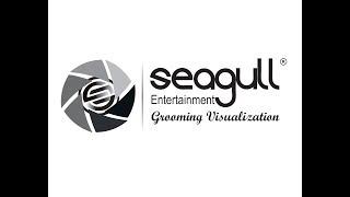 Seagull Entertainment Corporate Showreel