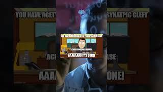 I made a few memes during the last 6months, I thought I - Neurosciences Memes #shorts!